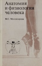 М. С. Миловзорова - Анатомия и физиология человека