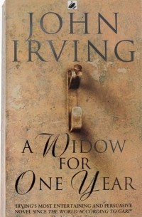 Irving John - A widow for one year