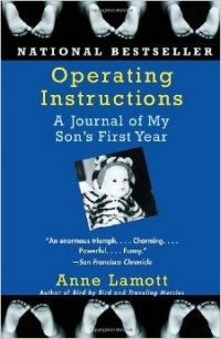 Anne Lamott - Operating Instructions: A Journal of My Son's First Year