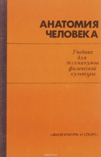 А. А. Швырев - Анатомия человека