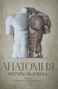 Могилевцев В.А. - Анатомия фигуры человека.
