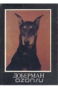 Доберман