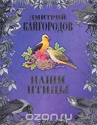 Дмитрий Кайгородов - Наши птицы