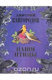Дмитрий Кайгородов - Наши птицы