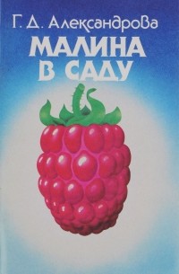 Малина в саду