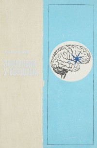 Эпилепсия у взрослых