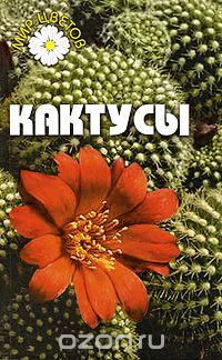 Т. Анисимова - Кактусы