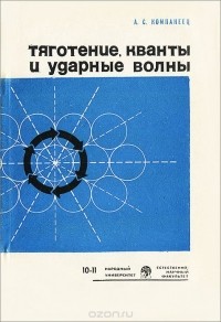 Александр Компанеец - Тяготение, кванты и ударные волны