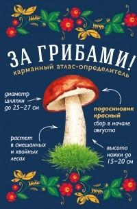 Т. А. Ильина - За грибами. Карманный атлас-определитель