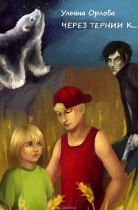 Через тернии к… дому!