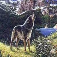 Лев Толстой - Волк