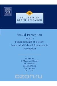 Susana Martinez-Conde - Visual Perception Part 1,154