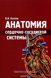 В. И. Козлов - Анатомия сердечно-сосудистой системы. Учебное пособие