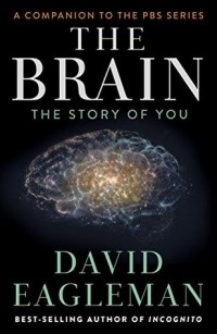 David Eagleman - The Brain: The Story of You