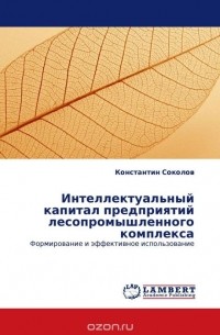 Константин Соколов - Интеллектуальный капитал предприятий лесопромышленного комплекса