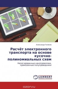 Александр Голиков - Расчёт электронного транспорта на основе кусочно-полиномиальных схем