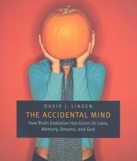 Дэвид Линден - The Accidental Mind: How Brain Evolution Has Given Us Love, Memory, Dreams, and God