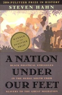 Стивен Хан - A Nation Under Our Feet – Black Political Struggles in the Rural South from Slavery to the Great Migration