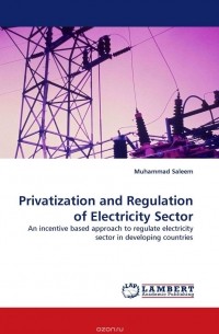 Muhammad Saleem - Privatization and Regulation of Electricity Sector