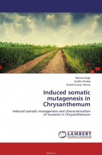  - Induced somatic mutagenesis in Chrysanthemum