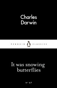 It Was Snowing Butterflies