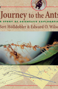 Journey to the Ants – A Story of Scientific Exploration