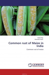  - Common rust of Maize in India