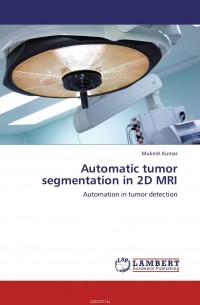 Mukesh Kumar - Automatic tumor segmentation in 2D MRI