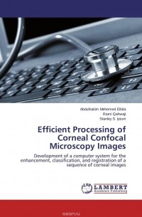  - Efficient Processing of Corneal Confocal Microscopy Images