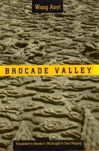 Anyi Wang - Brocade Valley