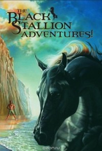 Уолтер Фарли - Black Stallion Adventure Set