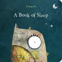 Il Sung Na - A Book of Sleep