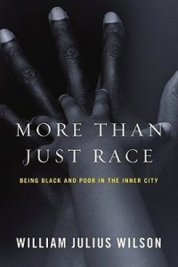 Уильям Джулиус Уилсон - More than Just Race – Being Black and Poor in the Inner City