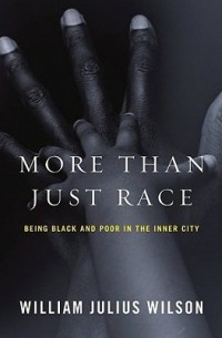 Уильям Джулиус Уилсон - More than Just Race – Being Black and Poor in the Inner City