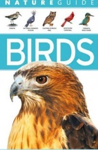 David Burnie - Nature Guide: Birds (Smithsonian Nature Guides)