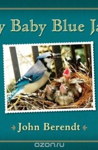 John Berendt - My Baby Blue Jays