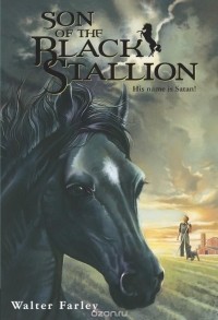 Уолтер Фарли - Son of the Black Stallion