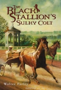 Уолтер Фарли - The Black Stallion's Sulky Colt