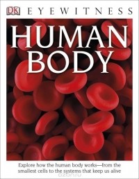 Ричард Уолкер - DK Eyewitness Books: Human Body