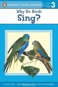 Джоан Холаб - Why Do Birds Sing?