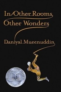 Daniyal Mueenuddin - In Other Rooms, Other Wonders