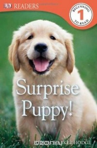 DK Readers: Surprise Puppy