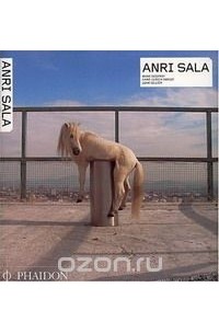  - Anri Sala (Contemporary Artists)