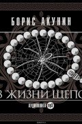 Акунин Борис - Из жизни щепок