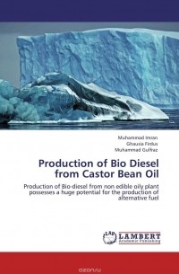  - Production of Bio Diesel from Castor Bean Oil