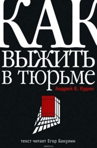 Андрей Кудин - Как выжить в тюрьме