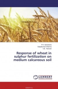  - Response of wheat in sulphur fertilization on medium calcareous soil