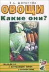 Т. А. Шорыгина - Овощи. Какие они?