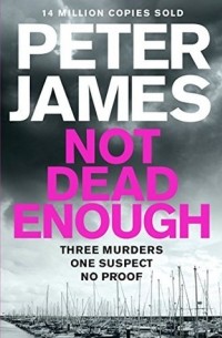 Peter James - Not Dead Enough