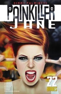  - Painkiller Jane: The 22 Brides